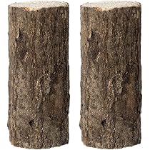 Amazon | 【2本セット】 コナラ産卵木 細目（8cm程度） クワガタ虫